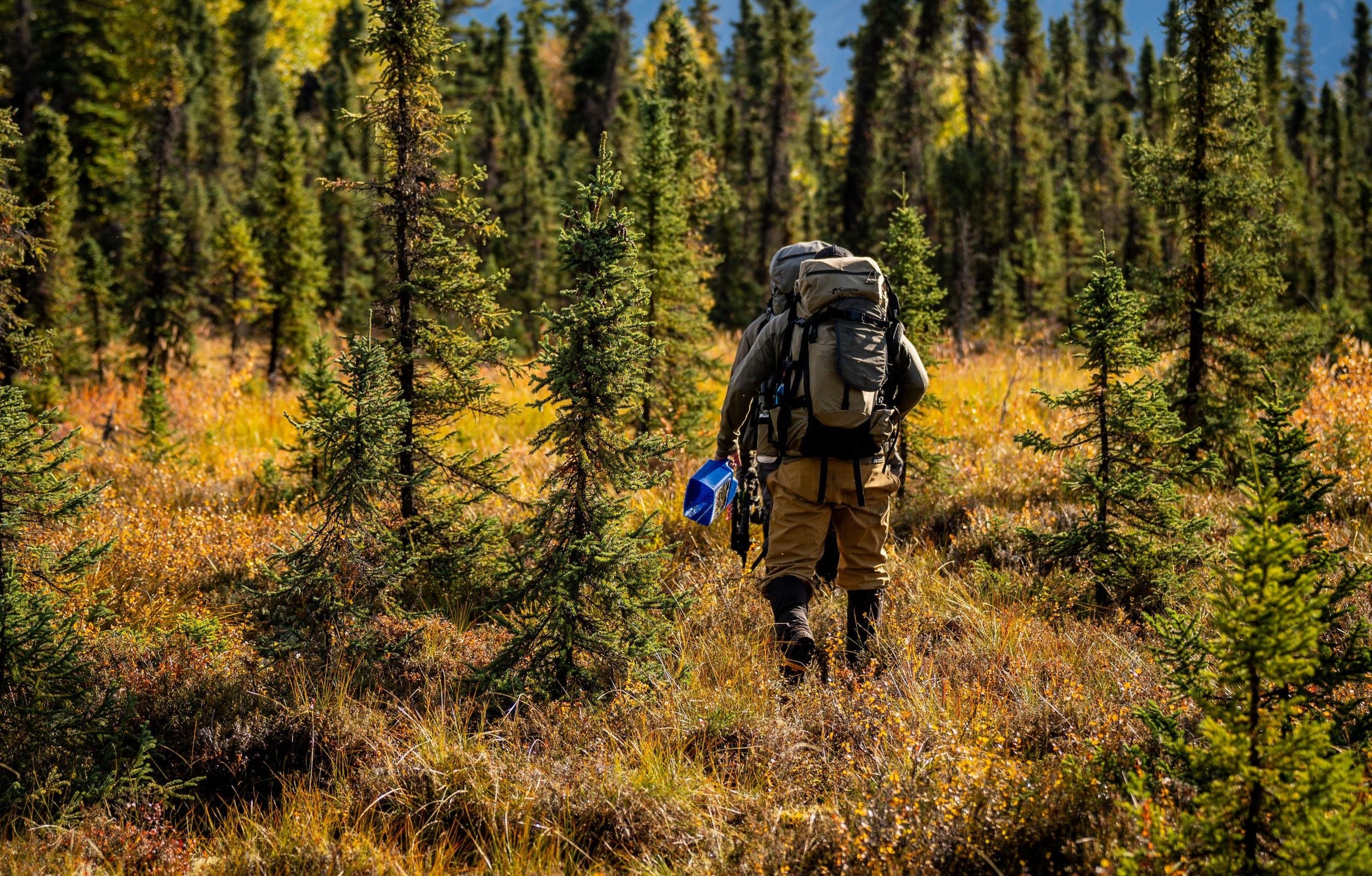 Field Essentials